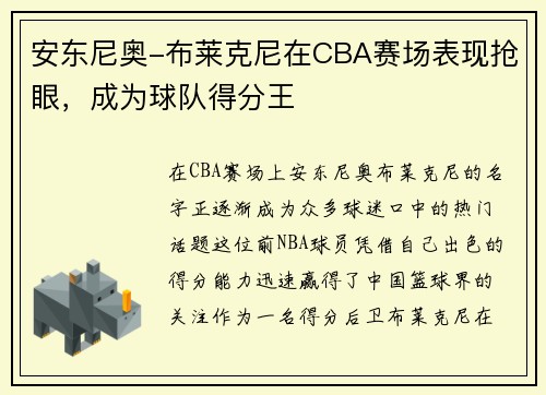 安东尼奥-布莱克尼在CBA赛场表现抢眼，成为球队得分王
